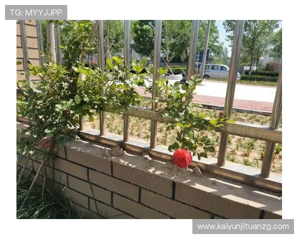 开云KY国际登录：便捷安全的全球品牌登录新体验