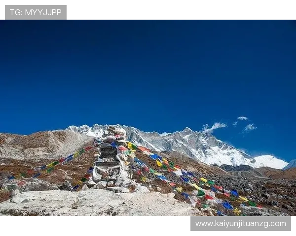 如何重置开云网页版登录密码确保账号安全的完整步骤指南