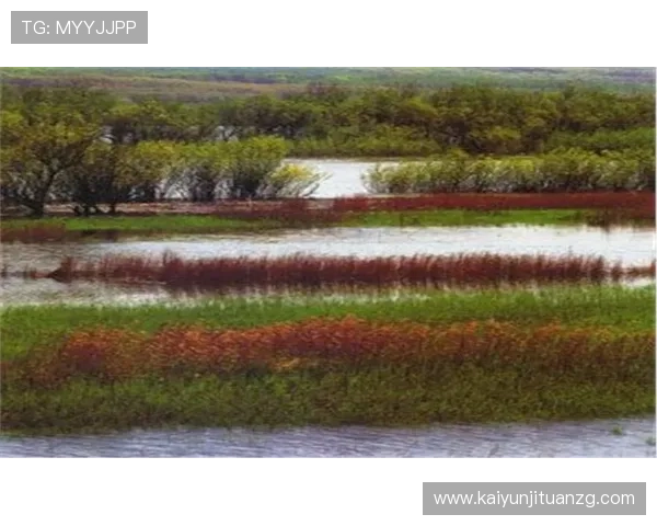 开云真人体育最新赛事资讯及时掌握比赛动态的最佳途径